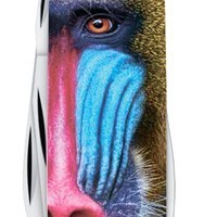 Фото Складной нож Victorinox Animal 9,1 см 1.4603.3_F1070pw