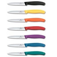 Фото Кухонный нож для овощей Victorinox Swiss Classic Paring 10 см 6.7735.C1